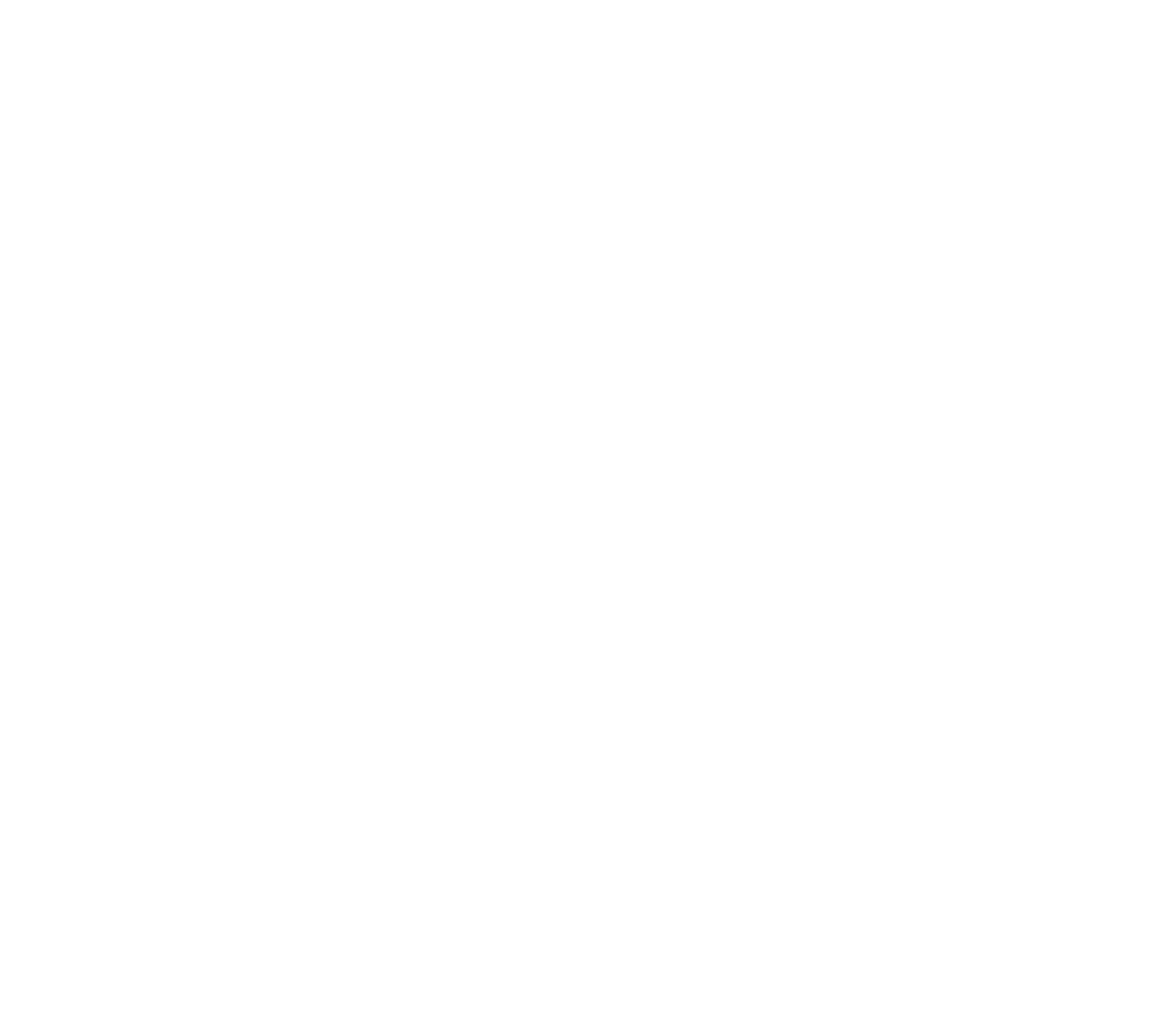 Site Plan Level 3